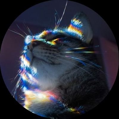 🐱 Leonor | ♂️ Furry Bi | XVI | 🇲🇽 |🟨 Dasher 🟦| 🔺All Content 🔺| Un - Friendly ❤️🩹 | DM si quieres ser mi amiguito. 🐱💐