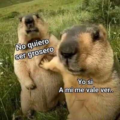 bueno no sé sorprendan si ven contenido +18 por aquí que no es mío. supongo que eso igual no invalida las ideas que pueda compartir por aquí.