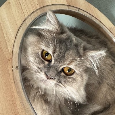 kam1_kam1_kam1's profile picture. 自然人