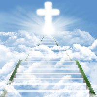 Safe Heaven (@safeheaven01) 's Twitter Profile