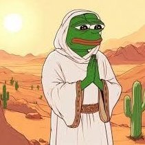 Hodling memecoins like a true degen | Web3 believer | Crypto hustle never sleeps 🕶️