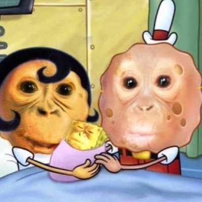 quad_with_no_e's profile picture. professor of cliterature 101