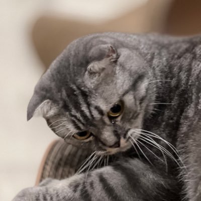 twc_off's profile picture. 