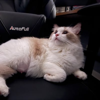 luanhe1026's profile picture. 