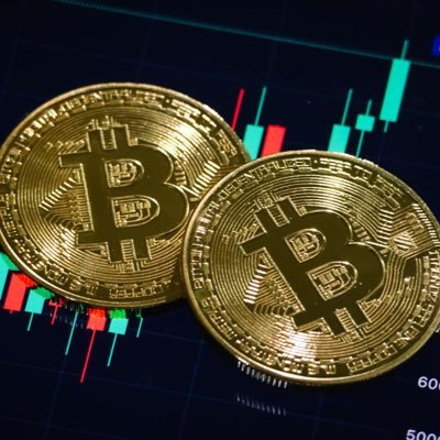 BitcoinKoh's profile picture. 