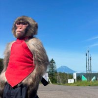 Jason (@jasonhimself1) 's Twitter Profile Photo Jason (@jasonhimself1) 's Twitter Profile Photo