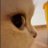 glitchinmatrix_'s profile image