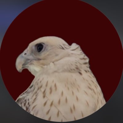 i3QiQ's profile picture. -يجهلني القاع ما تجهلني القمّه.