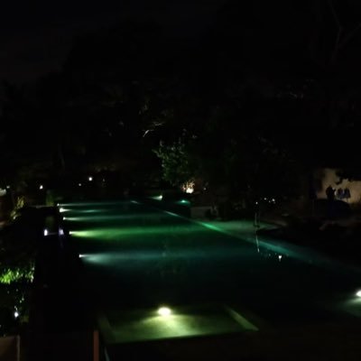 polypterus123's profile picture. 成年人的世界