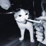 bigdaaadddy's profile picture. 
