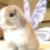 Littlesleepymoo's profile picture. TW: .edtwt.autistic.bpd. 26🧸 🎀 JESUS! 🎀I love my bf 💙STAY💞MOA