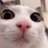 Zeinidk's profile image