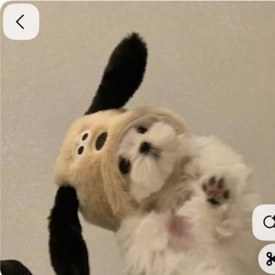 hapipi_mofuchan's profile picture. 守備範囲イチロー