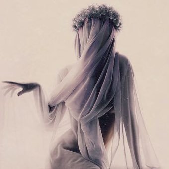 gbgb_gb_'s profile picture. 𝔹𝕋𝕊  ♡ ．𝔻𝕚𝕤𝕟𝕖𝕪🐭陸専．ショーパレ民．保護猫2匹と爬虫類4匹と暮らしてる月4休みの社畜😇日常多め✎ᝰ ．垢が復元不能になった為、新しく作り直しました…🤦🏻‍♀️！覚えている方、是非ᶠᵒˡˡᵒʷ …！