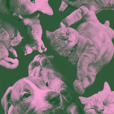 HeiheiVS's profile picture. gak kenal maka gapp