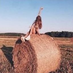 orkuener33647's profile picture. 