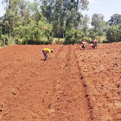 We aim to reconnect communities with nature and literacy, fostering healthy food production, livelihood improvement, and environmental protection.