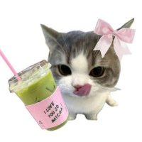 yaM_// (@joybitzz) 's Twitter Profile