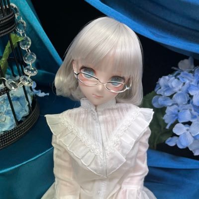 ドールの知識なんもわからず沼に飛び込んだおっさん。軽い気持ちで初期費用を調べたら思ってた桁が違ってちょっとびびった小心者。でもドールお迎えしたい、頑張るぞー!