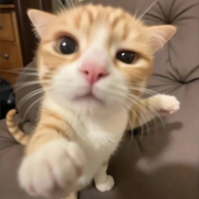 3T4RVlr's profile picture. 22 yo @PlayValorant for …. ?🇪🇬#Free_Palestine 🇵🇸🤲