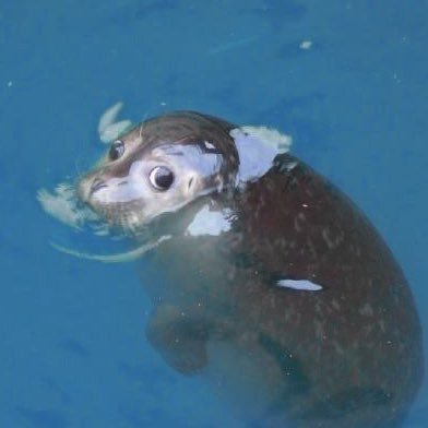 jelllovey's profile picture. 