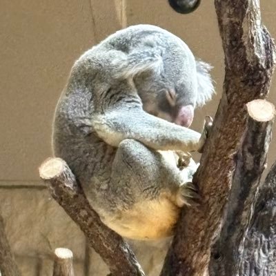 HAMASAK45788880's profile picture. 