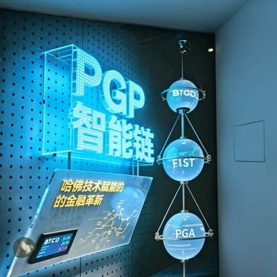 piinstarsea's profile picture. piin is  only one memecoin  flying in the sky.