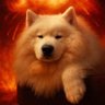 v_shiotakazuki's profile picture. 社会人7年目 システムエンジニアとして日々勉強中 #献血へ行こう！ 基本情報技術者 2022年12月取得 #テックアイエス #卒業生