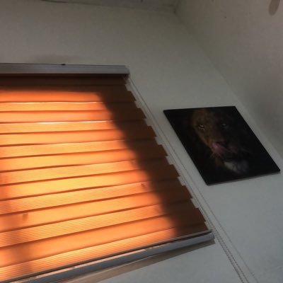 MRBANI1712069's profile picture. I don’t need to snake a brother to get money 💰 | Arsenal | Agriculture | it’s all love ❤️