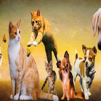 d1o7IHjdBI23741's profile picture. 包容力がある、サポート精神がある、革新的性格で、お菓子作り、勉強会などに興味を持っています。現在はクリエイティブ業界で活躍中です。