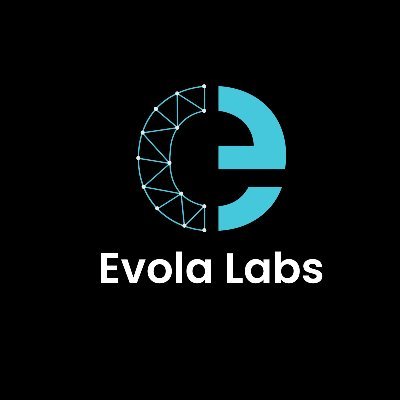 Evola Labs | Full-stack Web3, AI and Game Development. We design and ship secure, scalable products for startups and enterprises.