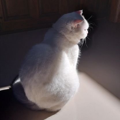 phimphr2024's profile picture. #beckysangels #srchafreen
#freenbecky 🧚‍♀️🌷 #only freenbecky #คีพคูล
#ปริศนาซากมรณะ💀
#ที่เที่ยว #cafe #ทาสแมว