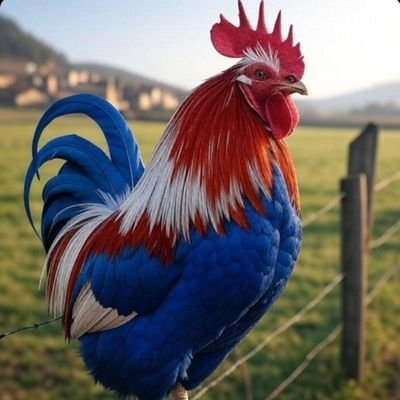 LGBT, Wokiste , gauchistes,
anti France ,etc,etc
....passer votre chemin .
La croix est mon bouclier,le glaive ma force.