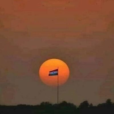 Saurabh30721574's profile picture. I don’t have an attitude,
 I just have standards