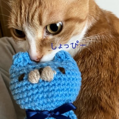 Crazy F-R-E-S-H BeatでSnowmanの沼へ 渡辺翔太しょっぴー強火渡辺しか勝たん💙ゆり組💙❤️スノ箱推⛄️かなりの大人 元Rock好き のんびり平和に応援してます自担に愛だけ伝えたい♡ 同担他担OK 他/子NACS 子猫 etc 🐈ヘッダーとアイコンはうちの子そらたん🐈