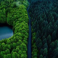 JosJuanLozanoG1's profile picture. Echoes of 'If you liked 'Redefining moments that challenge the ordinary ✨ | Curated with purpose', you’ll love this version.'