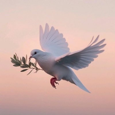 Warmth_9's profile picture. 