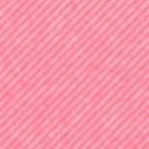 緋木さんのプロフィール画像
