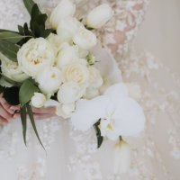 みみ (@mimilife_8) 's Twitter Profile