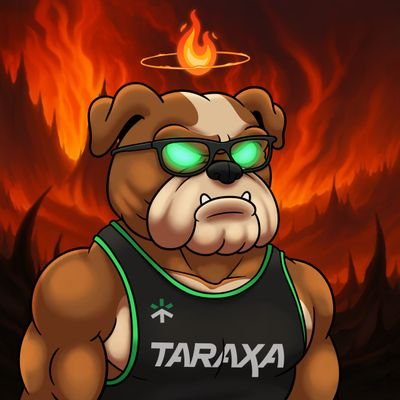 Cryptocitizen49's profile picture. $TARA 1000x