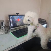 Manuchehr Tahmasb (@9bff96d3e8b8405) 's Twitter Profile