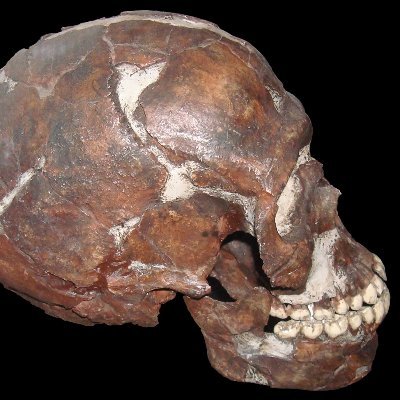 pdffile1488's profile picture. 