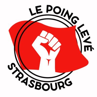 lplstras's profile picture. 