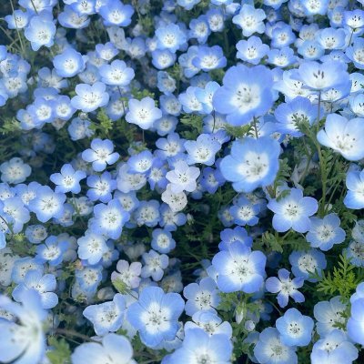 93_0g's profile picture. 🎧🎤｜🥞｜自我と幻覚｜