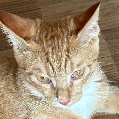 vqlSal_'s profile picture. 