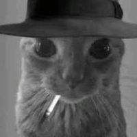 itsF0rex's profile picture. 27yo. Programador (por desgracia).