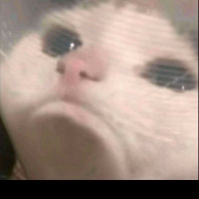 granolagirl__'s profile picture. neurospicyy, mental health advocate