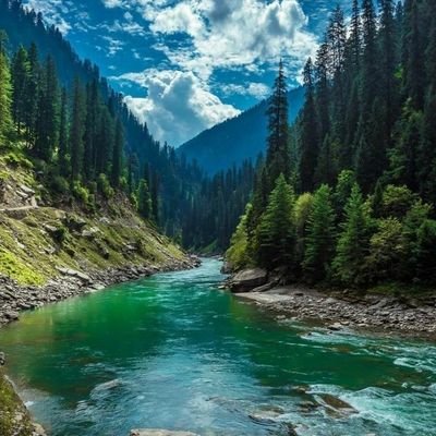 anaturelover92's profile picture. لآ اِلَهَ اِلّا اللّهُ مُحَمَّدٌ رَسُوُل اللّهِ