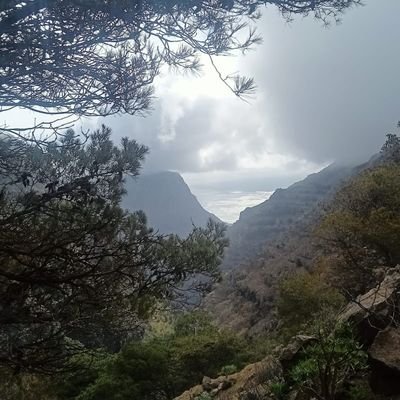 DelormeNicolas7's profile picture. 