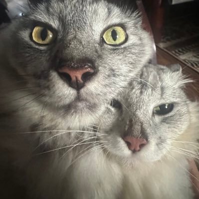 tisherrda's profile picture. 🧶🫶🏽